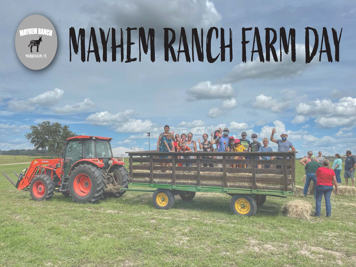 Farm Days | Mayhem Ranch Mayhem ranch