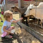 About Us | Mayhem Ranch About us | 309209084 5668138709912404 2132562777330450739 n | mayhem ranch