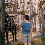 About Us | Mayhem Ranch About us | 311057972 5698972996828975 5269407326655662372 n | mayhem ranch