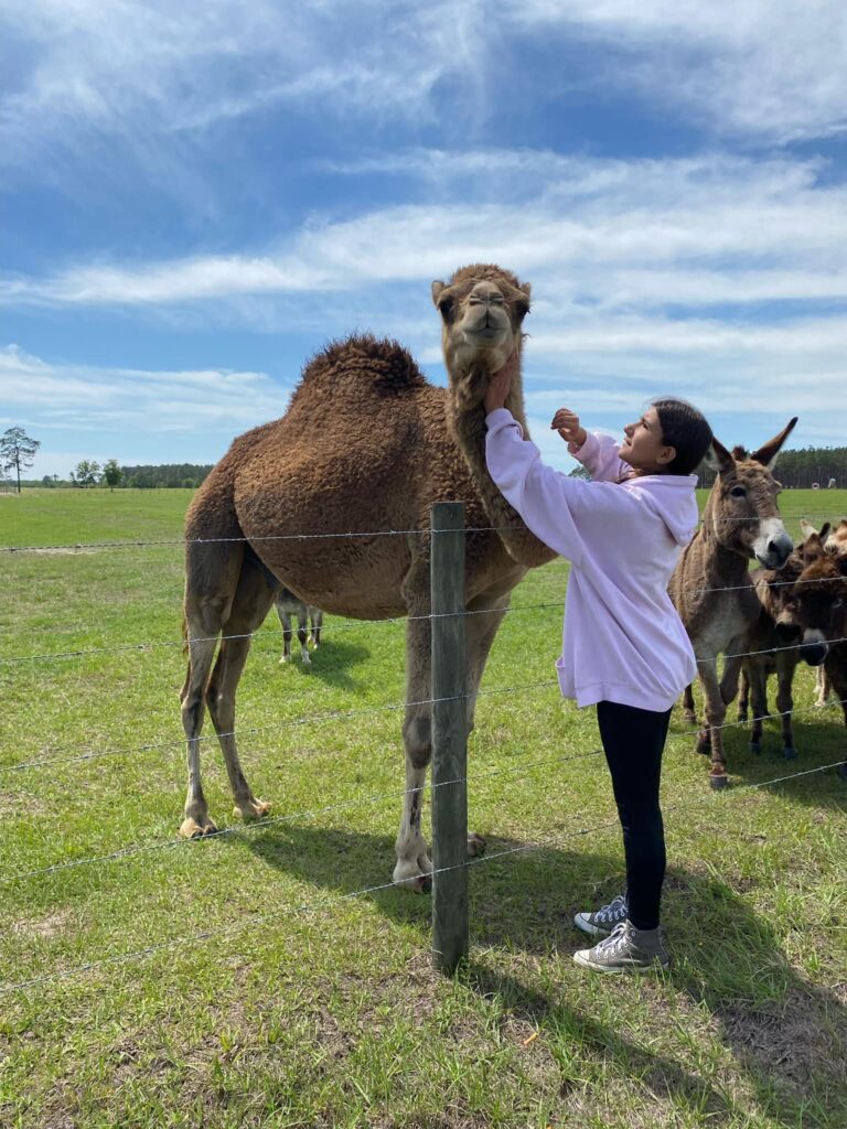 Farm Tours | Mayhem Ranch Farm tours | 337014815 172264338557549 7636516380546345741 n | mayhem ranch