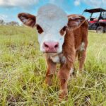 About Us | Mayhem Ranch About us | img 1724 | mayhem ranch