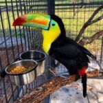 About Us | Mayhem Ranch About us | img 3335 | mayhem ranch