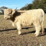 About Us | Mayhem Ranch About us | img 3336 | mayhem ranch