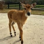 About Us | Mayhem Ranch About us | img 3338 | mayhem ranch