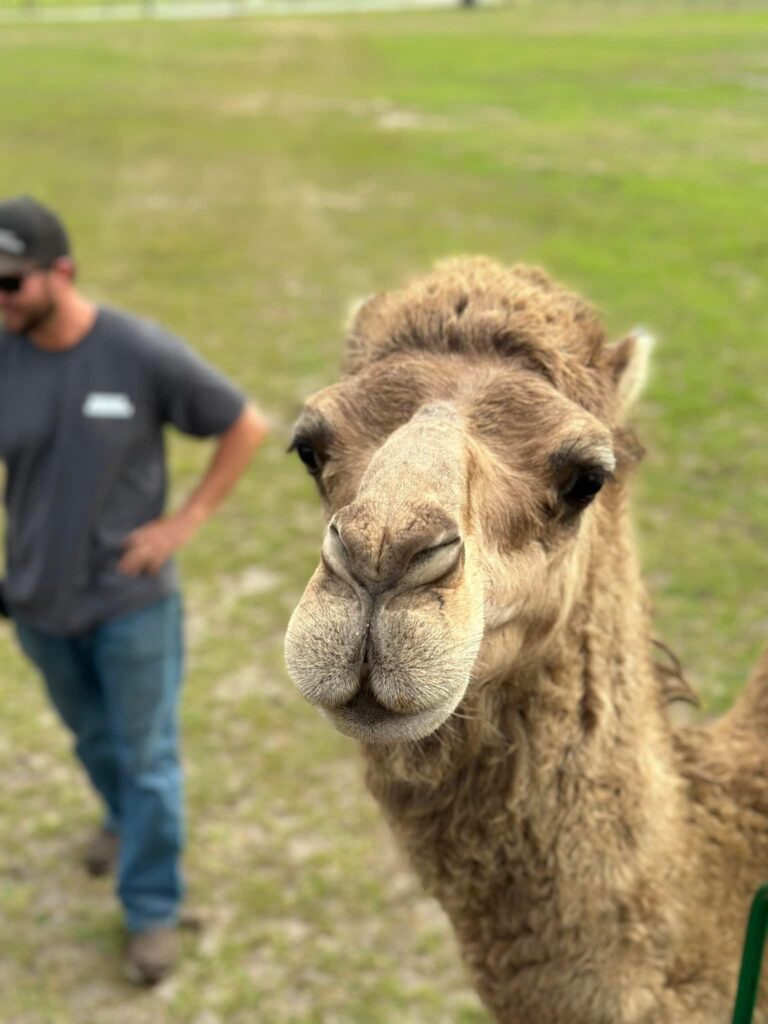 Farm Tours | Mayhem Ranch Farm tours | img 4925 | mayhem ranch